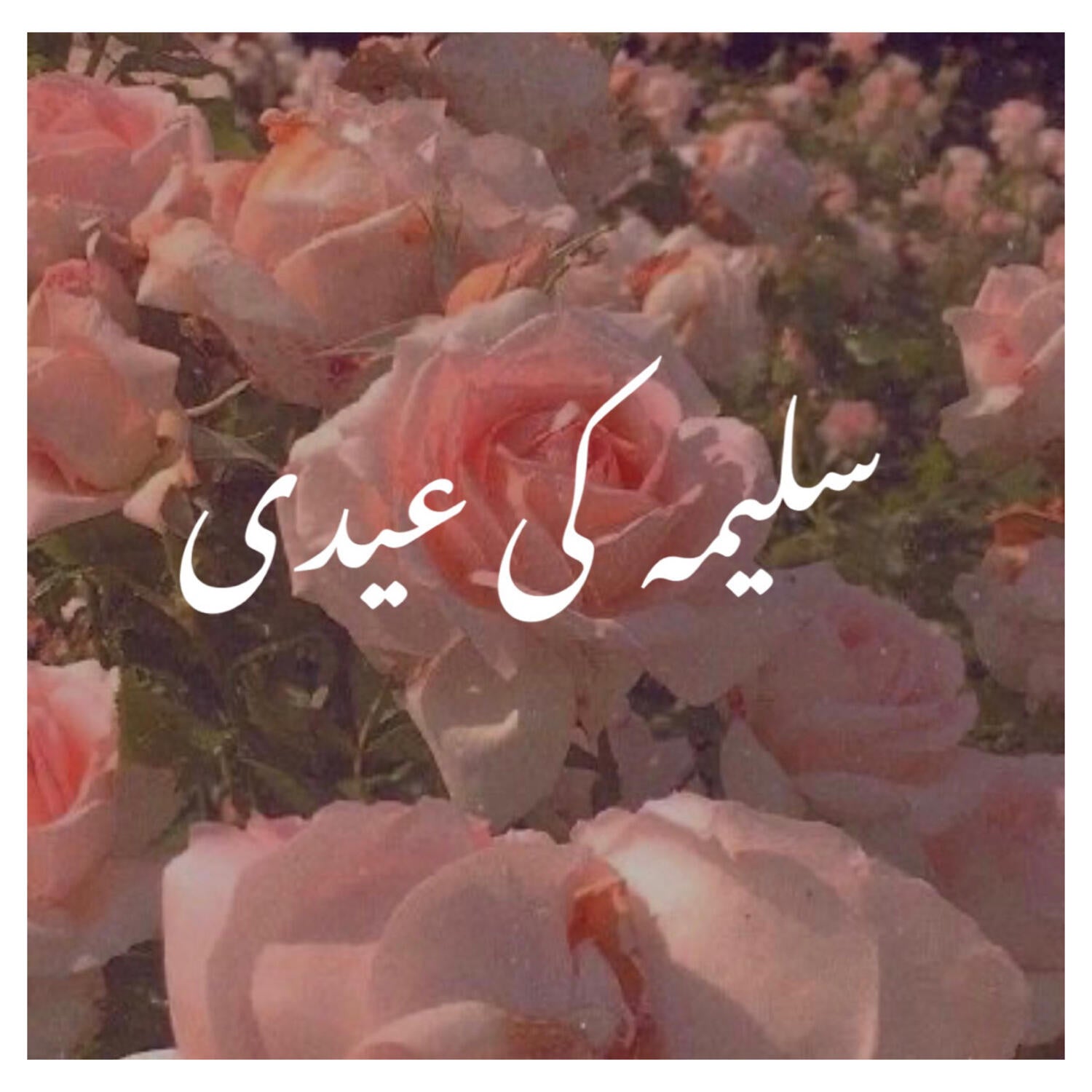 GULAB (made to order)